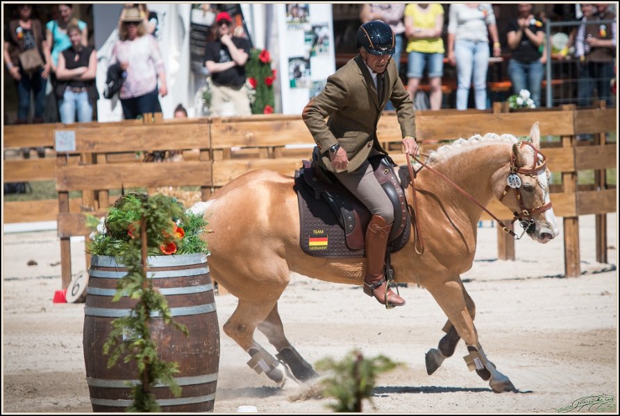 Pferd International 140